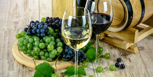 מה ההבדל בין יין לבן לבין יין אדום?